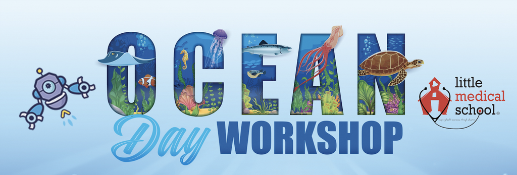 Ocean Day STEM Workshop - Sea Turtle Explorers (3 hours) (2026-06-07)